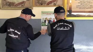 8E9AEA81 60A8 4772 8C0C 412AAA763B8E