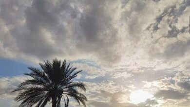 9A0A6C0F 747C 416B BA14 97ED1F0A1ACD