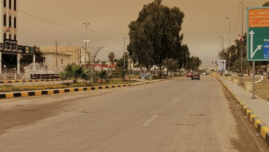 B3E269EC 8AF2 48D5 9D4B BFDC6B587FFD