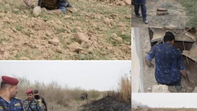 B64BADEA 8BB7 499E BA50 A500ED03F526