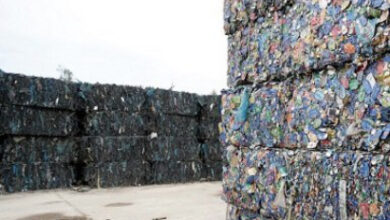 C0929925 6BBC 4884 960D FF0D9BFF938F