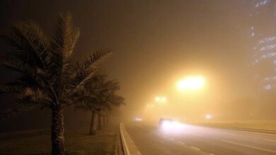 C09D06F6 9EC1 4E1D 834C 1B06FFCBE5F8