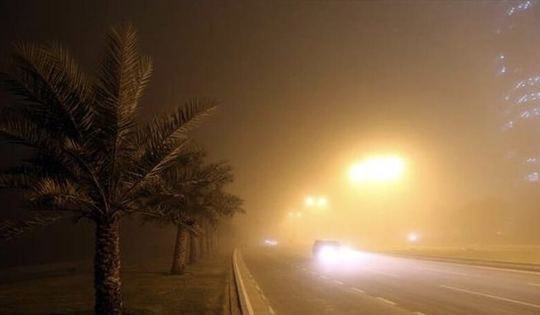 C09D06F6 9EC1 4E1D 834C 1B06FFCBE5F8