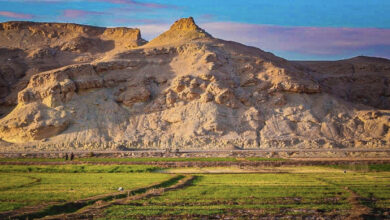 C5F06655 4F16 4CA0 B2F6 B39E9125DFBE