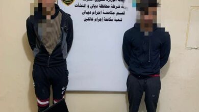 CDAD59E7 50CB 46C3 A676 026C2330D0B2