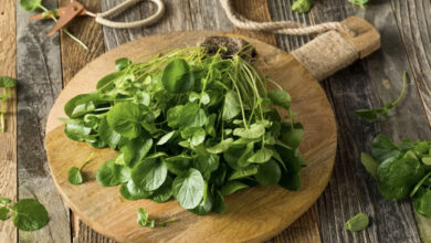 CFA634AF 6B9C 4642 90F4 6119DF299120