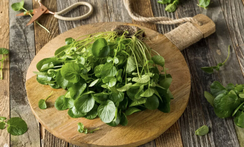 CFA634AF 6B9C 4642 90F4 6119DF299120