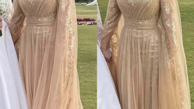 D7B288A8 3E20 4259 A033 4BDE8FEA011B