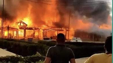 DB9676E0 EB33 4943 AF32 9D2035BFB696