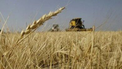 DF7681C9 6722 4F7E 84EA AAAEFA8F3032