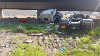 EC6E0763 ACD5 4D2C 8959 60F5CDA456EE