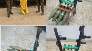 EE339050 6921 4AE8 BA4A F177091E71F5