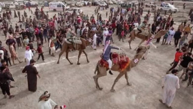 EEA56806 61EB 4B39 991D 4DD35D9593E0