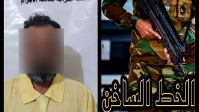 EED854C6 3BC2 4787 8430 D6CC0F333BF8