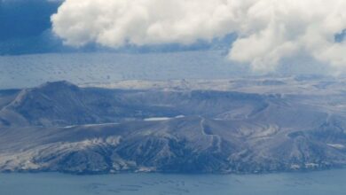 F2533995 0DE5 4A72 8A45 4B7870353B33