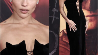 F2DC8838 5B0A 45D1 8D53 50E483BF7BA9