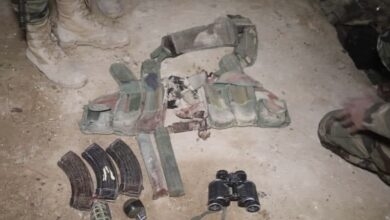 F8B20242 B9E3 41C8 A457 C2B4A7DC7913