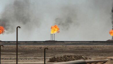 FE5D9E54 07E7 442F 80FA C410B19EA333