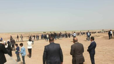 IMG 20220306 112912 381