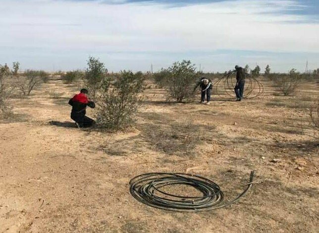 IMG 20220320 134759 281