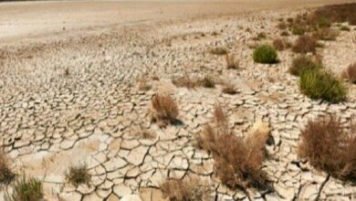 IMG 20220322 123546 570