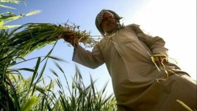 IMG 20220323 152147 838