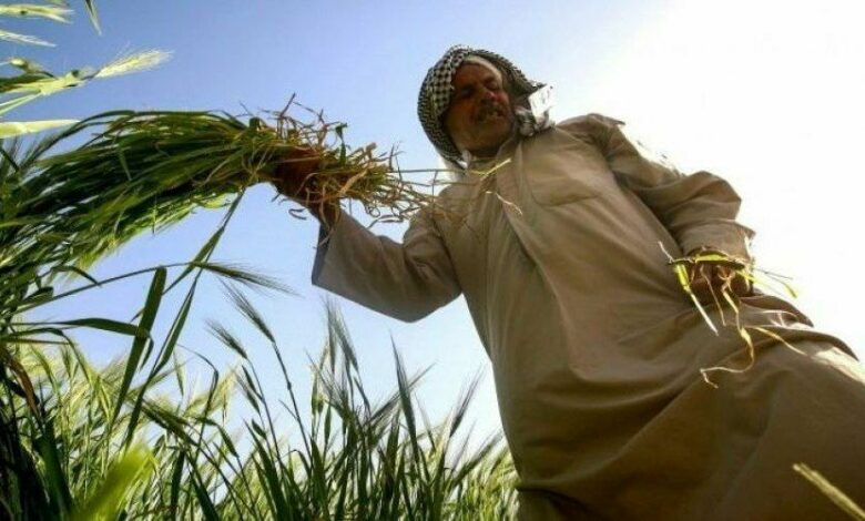 الموارد المائية تكشف عن معطيات الخطة الزراعية الصيفية المقبلة 1 IMG 20220323 152147 838