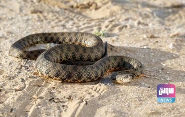 IMG 20220323 235205 175