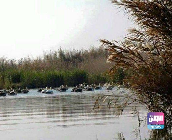 IMG 20220328 131615 664