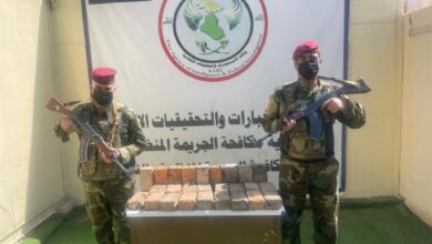 IMG 20220329 201227 699