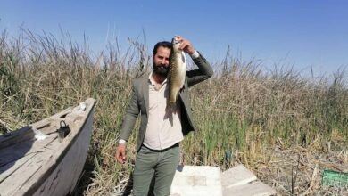 IMG 20220330 104633 309