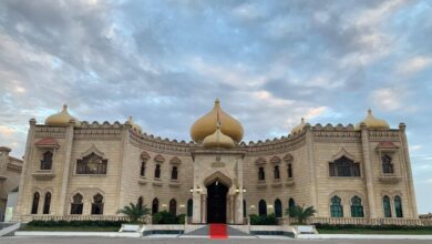 IMG ٢٠٢٢٠٣٠١ ١٣١٣٣٧