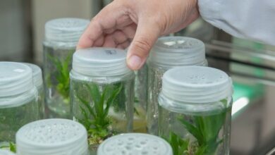 IMG ٢٠٢٢٠٣٠٢ ١٦٥٩٣٢