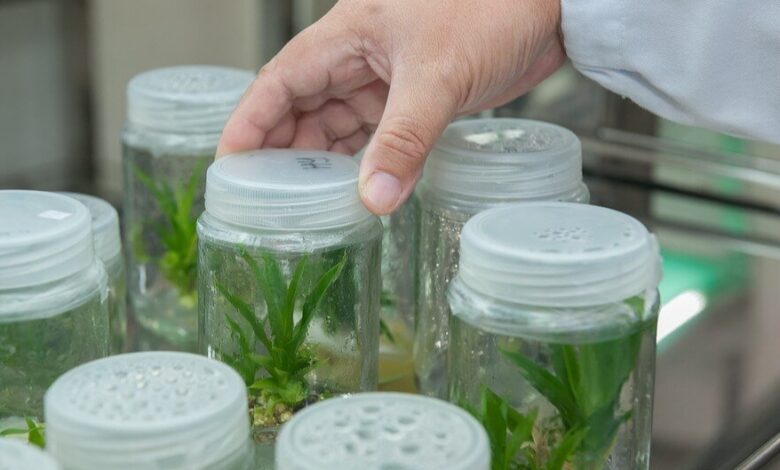 IMG ٢٠٢٢٠٣٠٢ ١٦٥٩٣٢