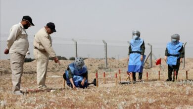 IMG ٢٠٢٢٠٣٢٦ ١٩٥٣٠٦