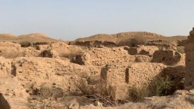 d9a3df810b977ce0020e728ae1f78211b