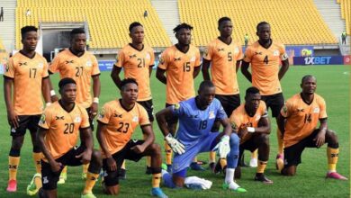 photo 2022 03 16 10 29 14