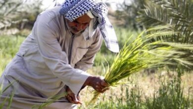 upload 1647283819 1331088136