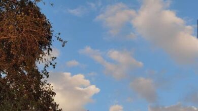 upload 1647878573 984712378.jpeg