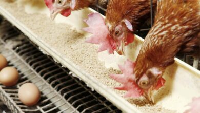 upload 1648141120 1922242438