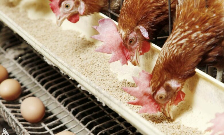 upload 1648141120 1922242438