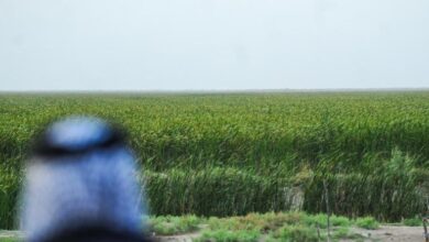 upload 1648228452 1939390034