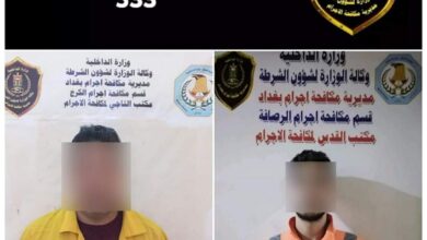 01167308 9EE5 4F41 BDAB 66A3D3696A98