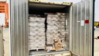 045FE446 EECE 4A09 9533 5B126FF4EDCB