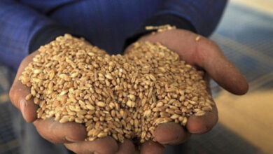 09B60177 AC89 45B5 AD31 15E5AFB06B26