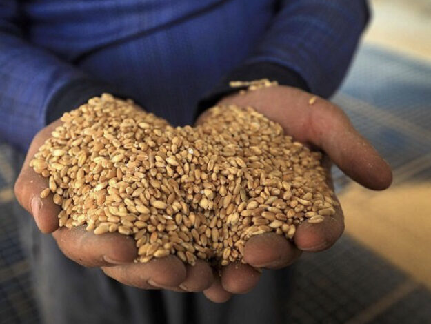 09B60177 AC89 45B5 AD31 15E5AFB06B26