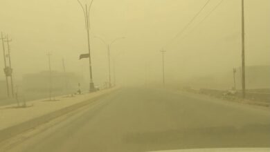 13434A41 3314 43CA B212 F76B0E7140B5