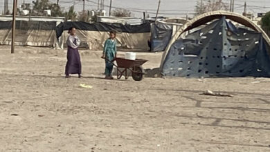 14CAEB2B 47CA 43F7 A2AA E7C60CCBA943