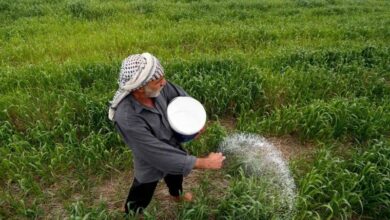 16E8DE0B C9A6 4F5F ABA3 D521556A0032