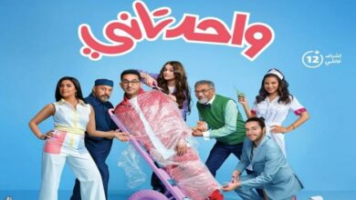 173 172742 eid alfitr movies ahmed helmy 700x400